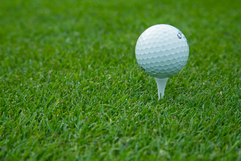 Améliorer le sol du green, avant green, putting green & tee Thumb