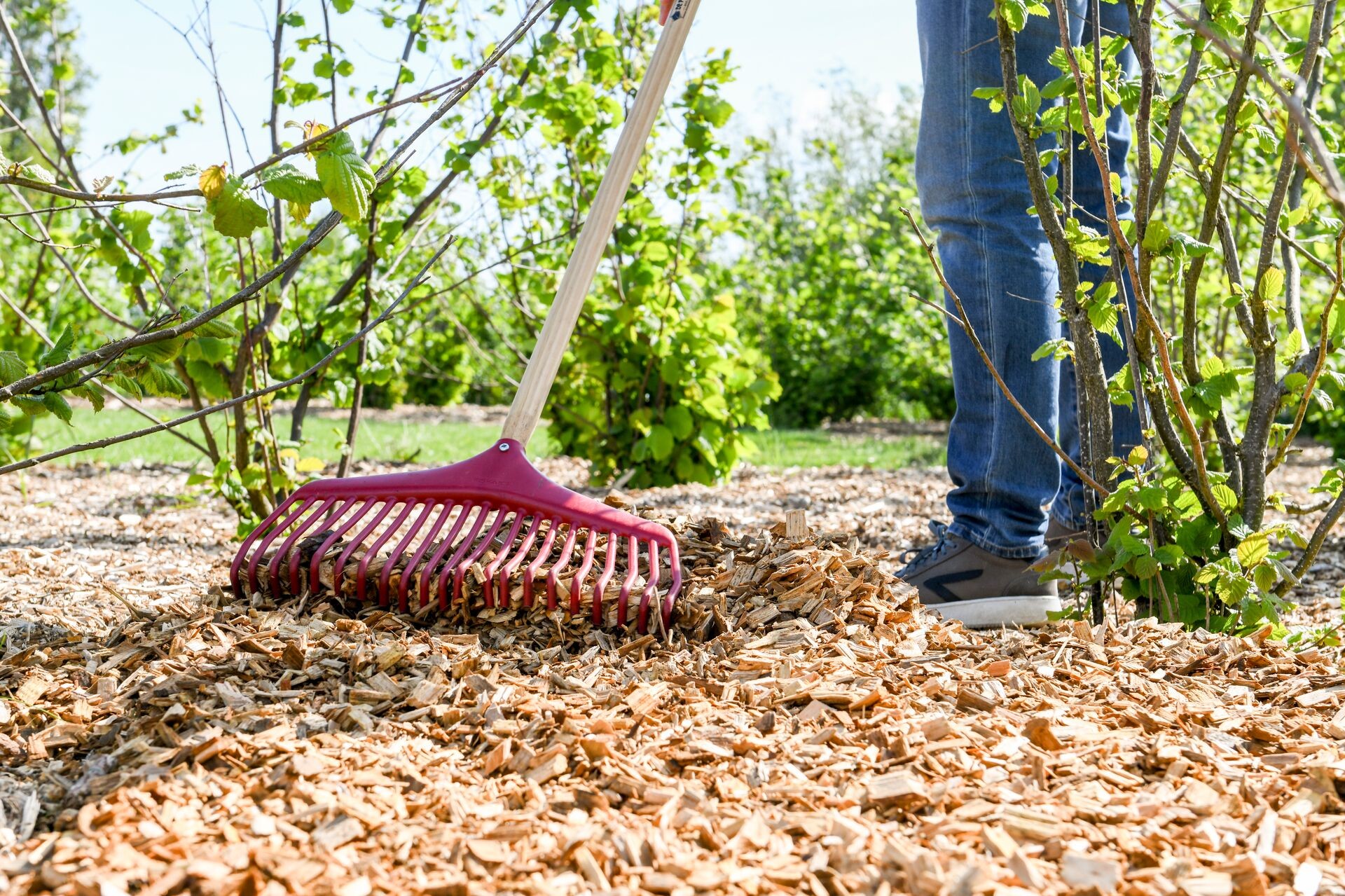 DCM Castanea Coverchips - Un produit novateur parmi les matériels de paillage Thumb