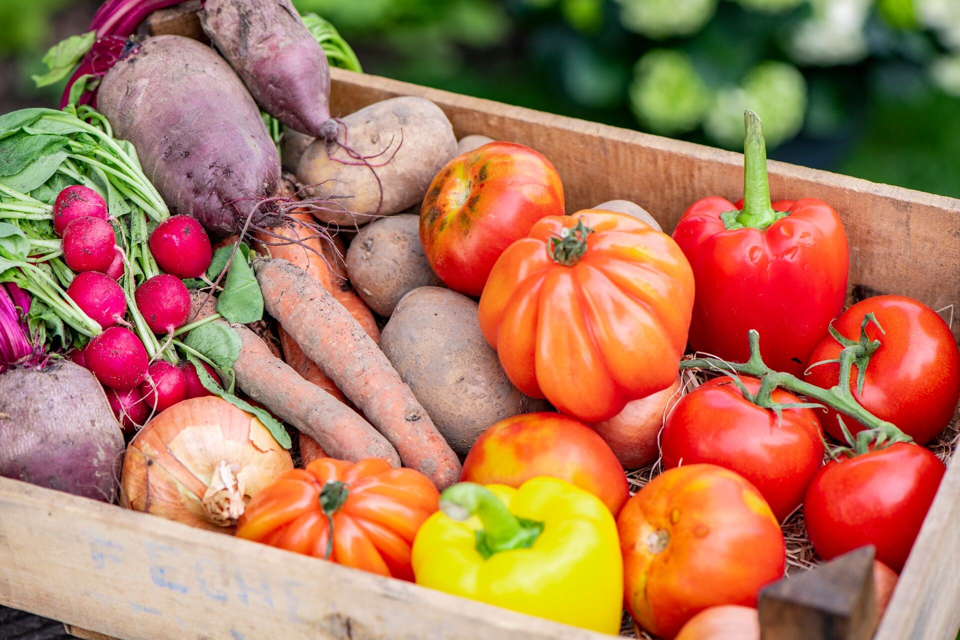 Vos propres légumes biologiques Thumb