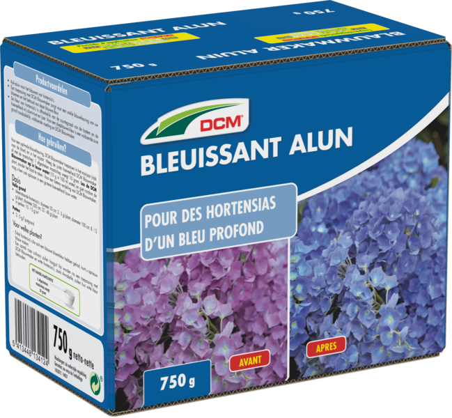 Bleuissant Hortensias - Alun DCM thumbnail