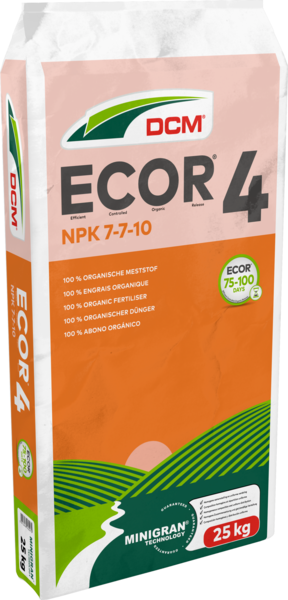 DCM ECOR® 4 thumbnail