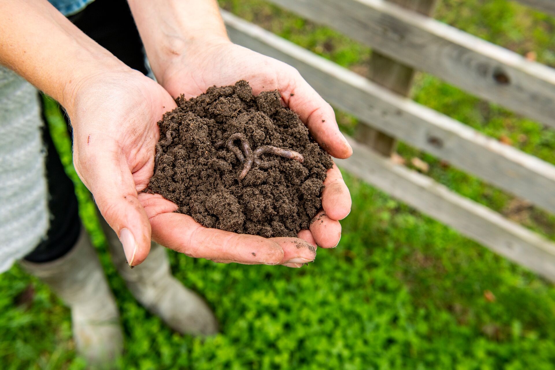 Améliorer le sol pour vos plantes : indispensable ou superflu ? Thumb