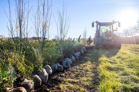 Une production rentable de qualité tout en respectant l'environnement Thumb